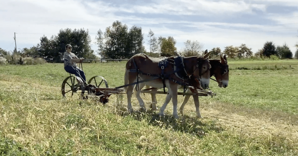 Wendell Berry Farm program feature