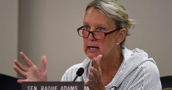 Julie Raque Adams