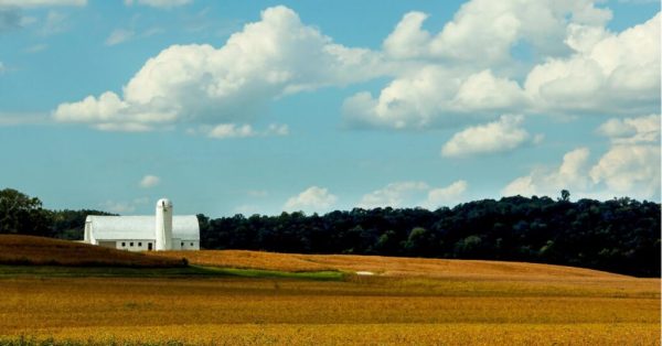 kentucky farm