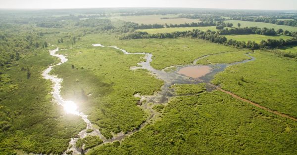 kentucky wetland lanscape