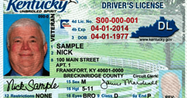 kentucky drivers license