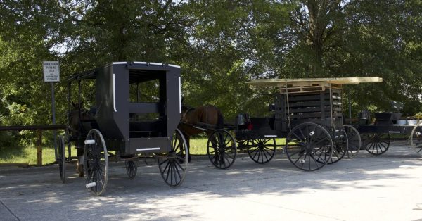 buggies in parking areas