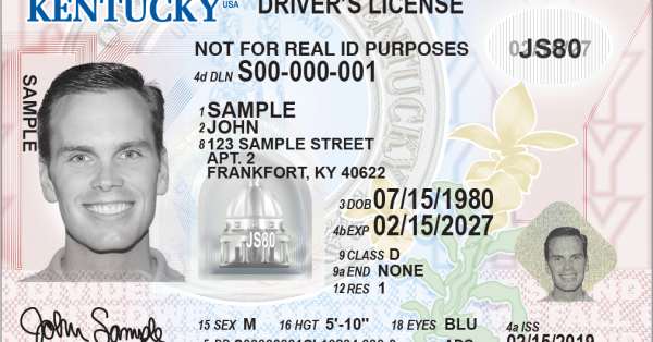 new_standard_driver_27s_license