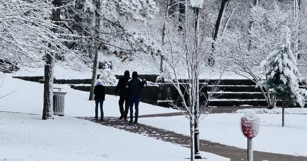 snow walkers