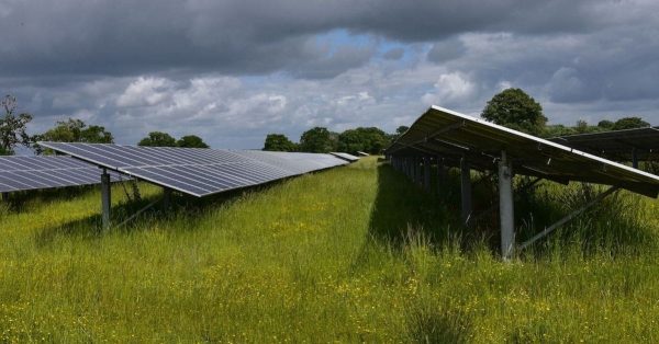 Solar farm (Canva photo)