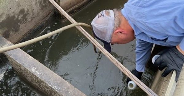 wastewater treatment in Mayfield