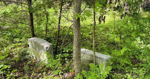 Only two headstones are visible in a cemetery at the old Wiggins farm in South Christian. (Hoptown Chronicle photo by Jennifer P. Brown)