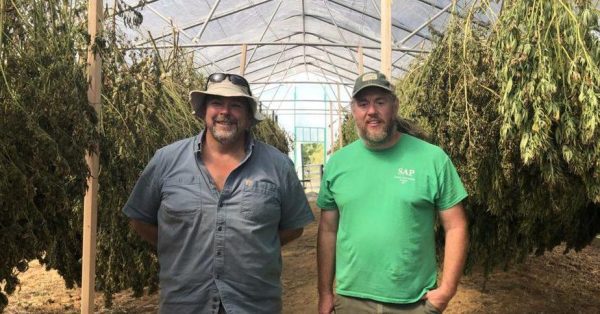 Tony Silvernail (left) and Shawn Lucas stand in their high tunnel with drying hemp. (Photo by Liam Niemeyer, WKMS)